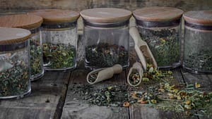 how to store loose leaf tea