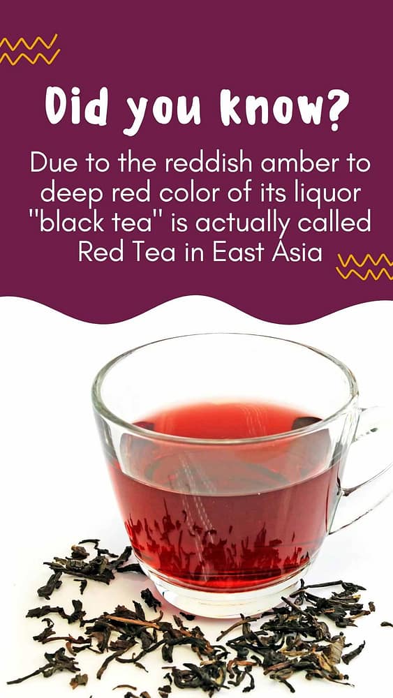 Black tea information