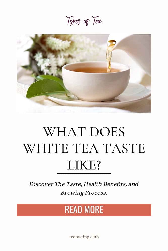 What does White Tea Taste Like?