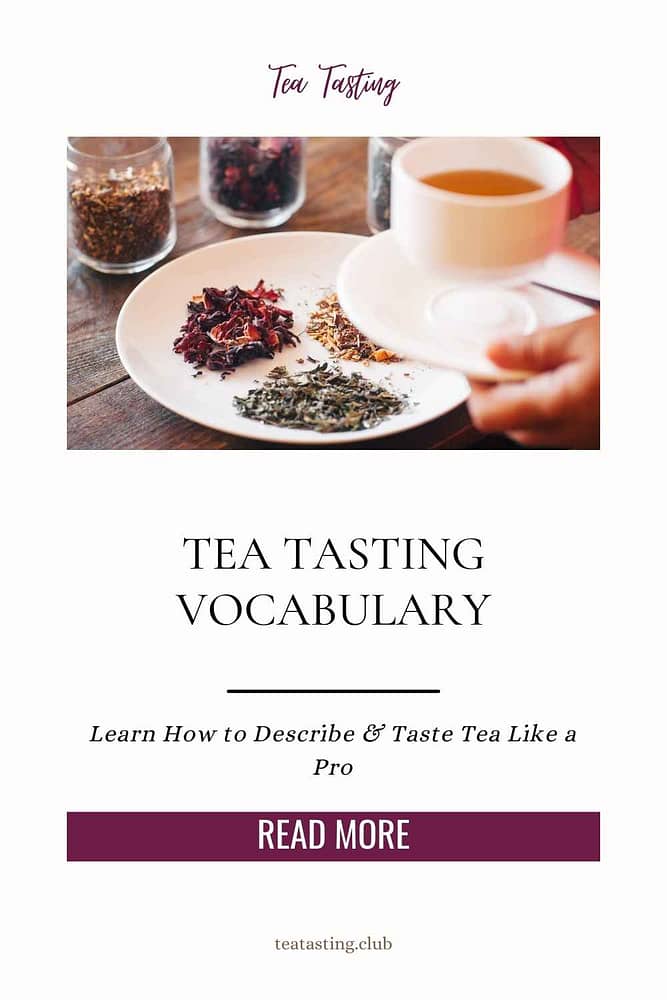 tea tasting vocabulary