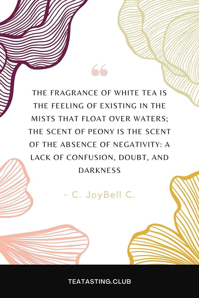 What does White Tea Taste Like?  