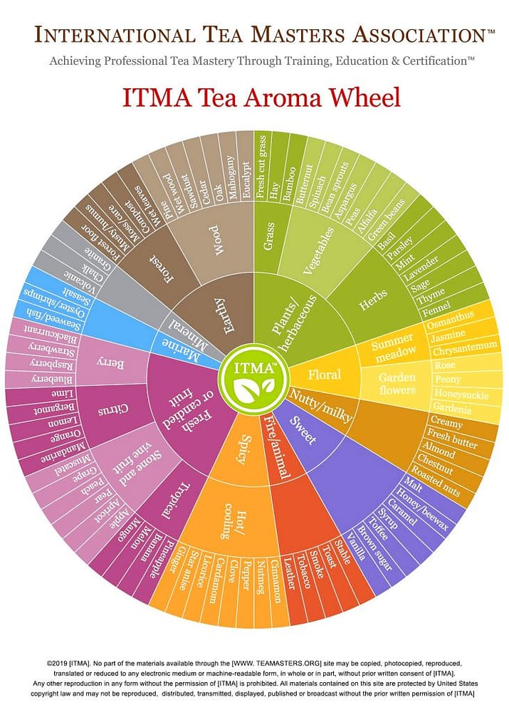 tea-tasting-vocabulary-learn-how-to-describe-taste-tea-like-a-pro