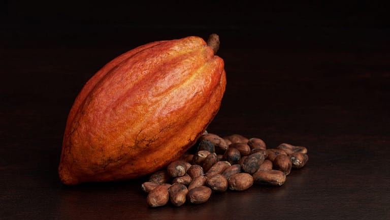 Cacao Nib Tea Recipe